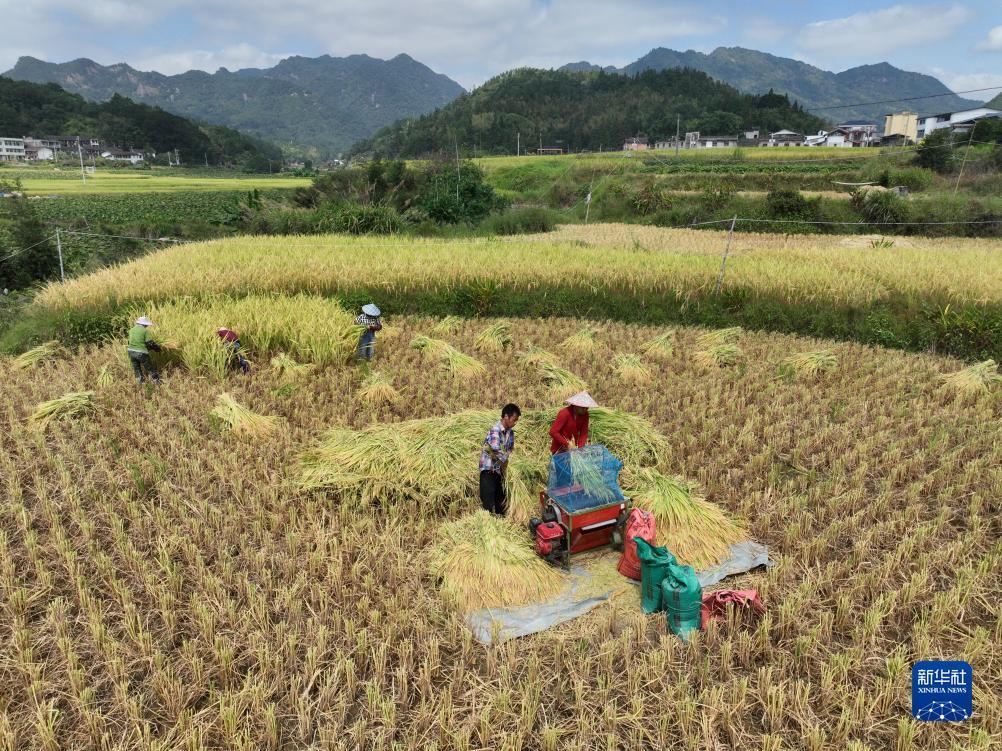 太阳神导航阿顺